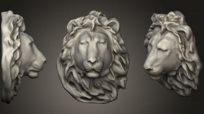 3D модель Lion Head Lp (STL)
